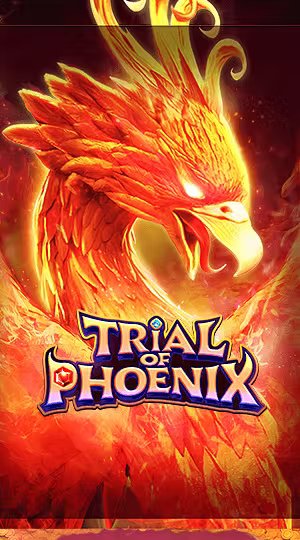 Bí Mật Vương Tộc